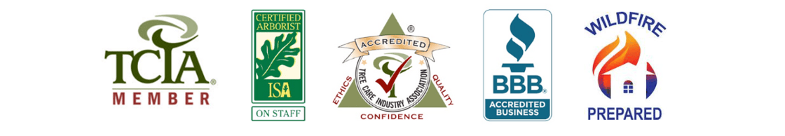 badges and certifications 